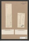 Navicula sp. (de-Toni-Nr.: Genus 1) Zeichnungen Sammlung Grunow Nr. 1519 (NHMW-BOT-W0368045)